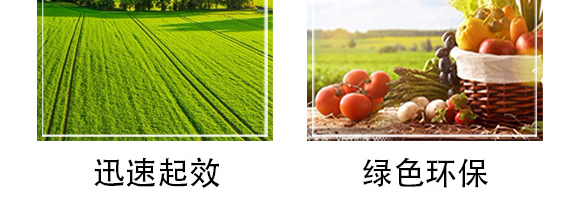 �׷����־���-�۟o(w��)ۙ-�T�_(d��)_08