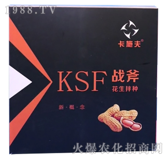 ������N����Щ��̎��������N��ʲô��N����