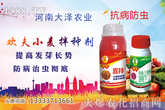 С����N����Ҋ��������Щ������x��С����N����