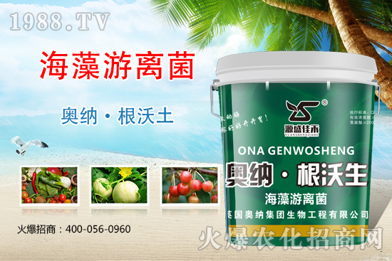 ���ӱ��W�{����Ʒ��(l��i)�u��������������o����ע��I(y��ng)�B(y��ng)�·�����