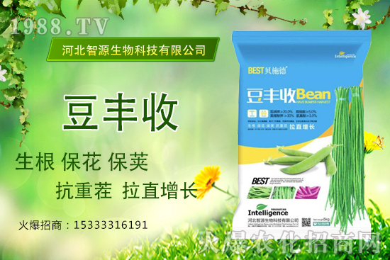 ���ˡ����S�ա���������ֱ���L�a(ch��n)���������S����ʲô��(y��u)�ݣ�