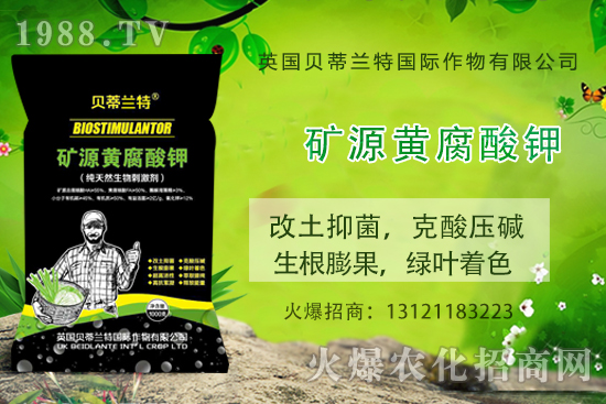���ÿ���ô�B(y��ng)�����ÿ��B(y��ng)ֳ������ע�����(xi��ng)��