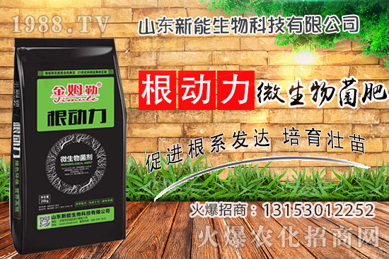 ����������ʲô����ʹ�á�΢������ʡ���ʲô��(y��u)����