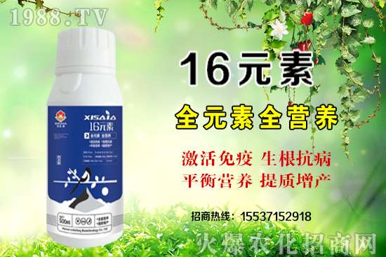 ��(f��)�Ϸ�