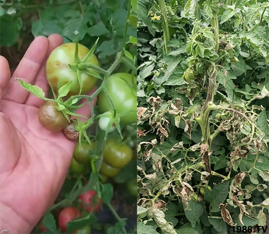 ����������ΰl(f��)�������Л]�кõķ��δ�ʩ�������@�ׂ�����߀�оȣ�