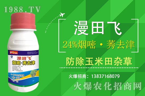 24%���ס�ݬȥ�����Ч���Æ���24%���ס�ݬȥ����ʲô���c(di��n)��