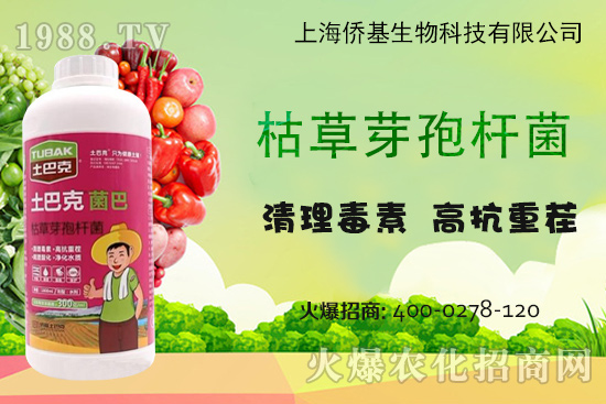 �Ϻ��S�������Ϳˡ�-��ע�����������غ������ޏ�(f��)15�꣡