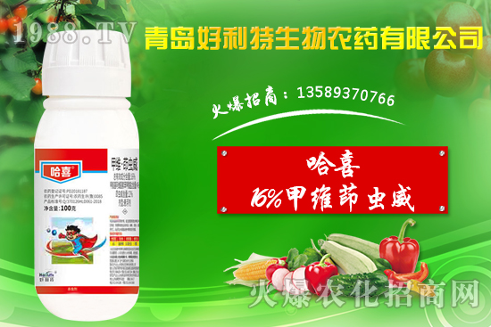 ���v���~��Σ���P(gu��n)�I�ڣ���ô��Ч���أ�16%�׾S���x(ch��ng)������Ч���Ά���