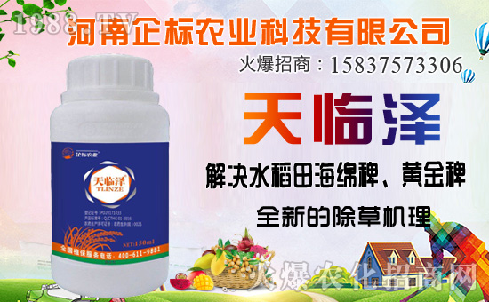 ���ݰ����ݙC�������ݰ��ܷ�����Щ�ݣ�ʹ��ע���������Щ��