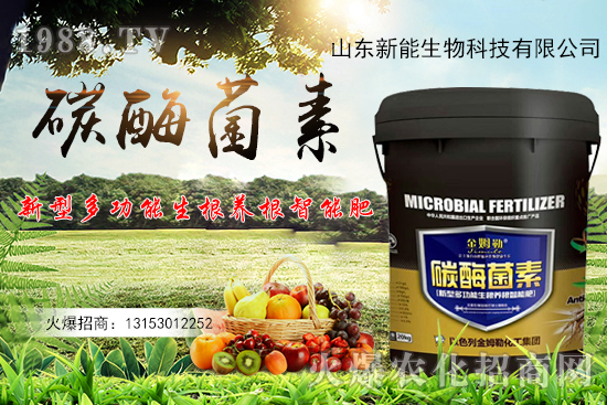 һ�ʶ��ã��ЙC(j��)̼+����ø+�����+�I(y��ng)�B(y��ng)Ԫ����̼ø������ʲô������