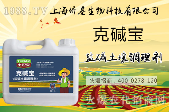 �����}�AΣ���������ˉA���������}�A��߀��һƬ������