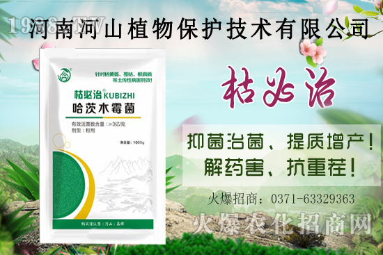 ���Ϻ�ɽֲ�ﺣ��(b��o)