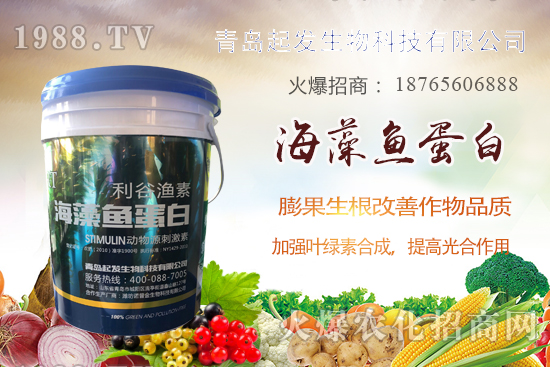 �߲˶�ֲ��ξ�������߲������`�^(q��)����Щ���߲�������������]��