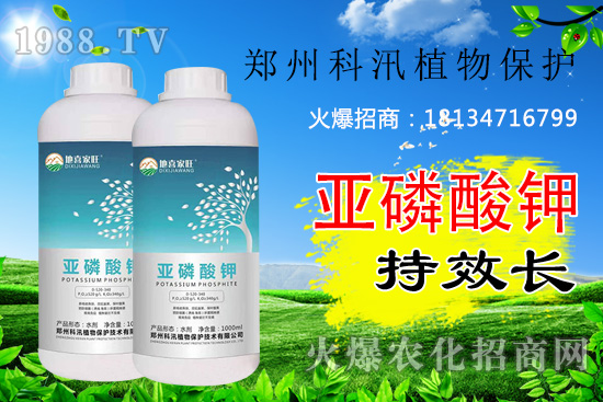 ������⛹�Ч�������C(j��)������Щ������������õĺ���᣿