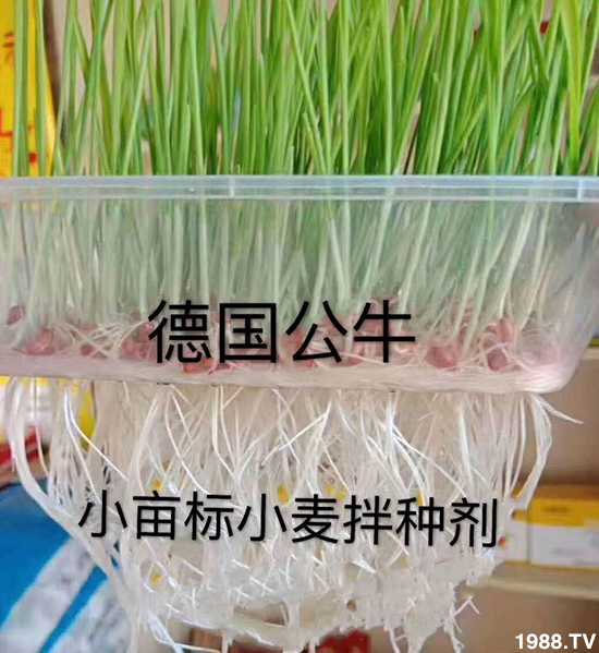 С����N�����a(ch��n)��С����N������x����С����N��Ʒ���x����