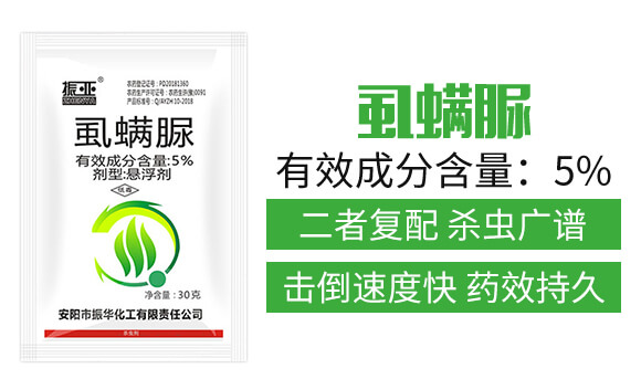 5%ʭ����-��-���A����_02