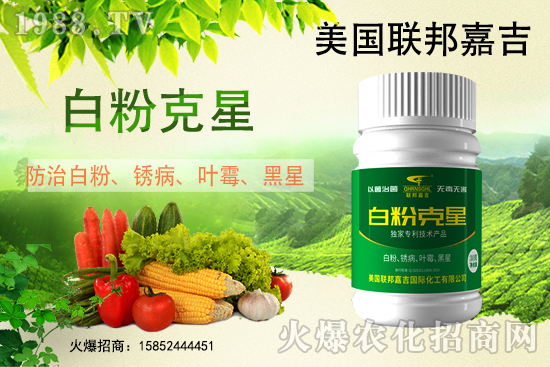 �׷۲����݁��u������(f��)�l(f��)������β���ô������׷۲������]��