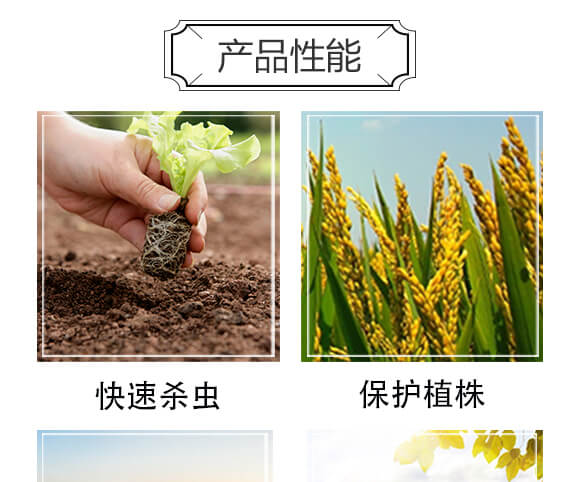 6%四聚乙醛(1000克)-戰(zhàn)螺-凱諾生物_04