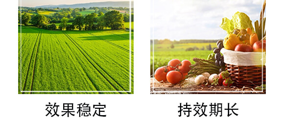 6%四聚乙醛(1000克)-戰(zhàn)螺-凱諾生物_05