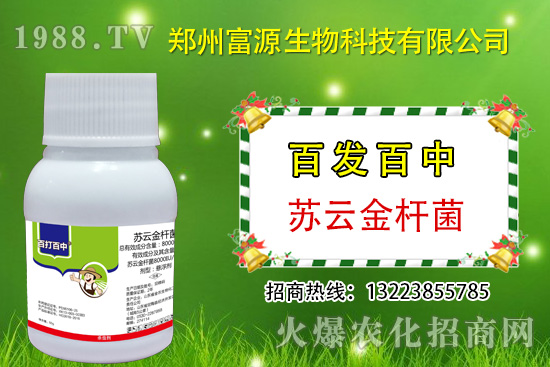 棉花棉鈴蟲危害期,做好這些很關(guān)鍵!請抓緊防治!