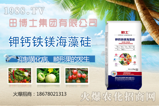 Խ�ķ��ѻ��ι����a(ch��n)���ϲ�ȥ�����η��ѻ��ι����@ЩҪ�I(l��ng)��������