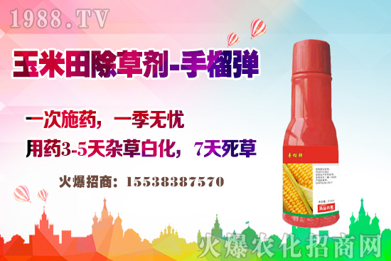 ������������v�������׳��݄��@�Ӵ������L(zh��ng)�s�ݲ�������