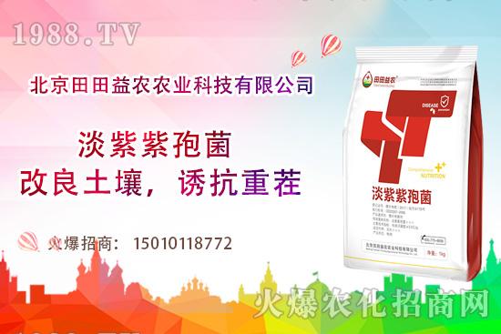 西紅柿需肥特點(diǎn)有哪些，西紅柿夏季如何管理？