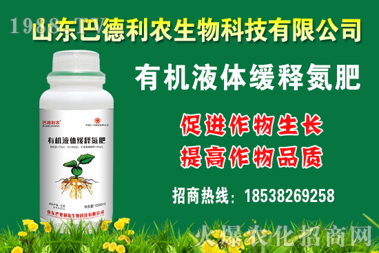 ���������Xһ��Nֲǰ����������Nֲ�ɱ�������(r��n)������