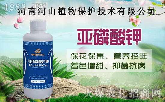 С�����߼Ӵa�������u�Z��2020��8��14��С���r��������