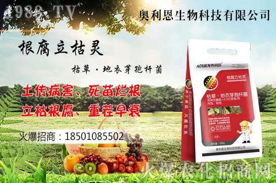 �S����ʲô����(ji��)���࣬�S���˷Nֲ������B��