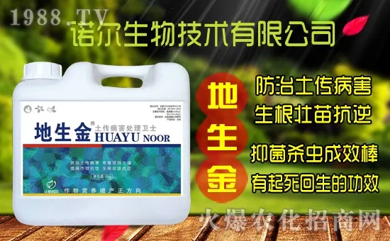 �S���˷N����ô�ɼ����S���˷N��r(ji��)������Xһ����