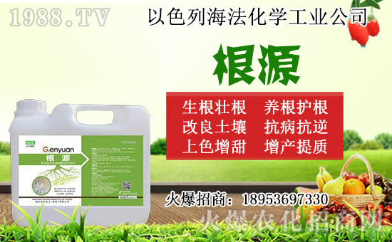 �o������ôǤ�����o����Ǥ��r�g��Ǥ�己ֳ������