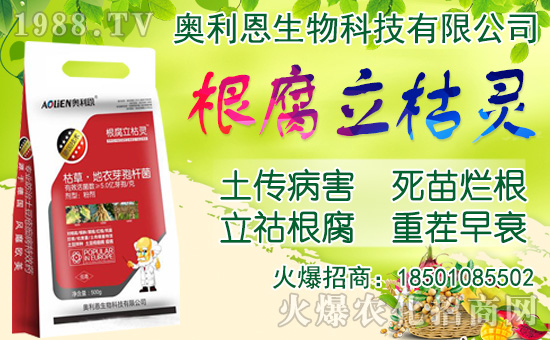 ���[���ʩ�������[�Nֲ���������N�r(sh��)�g��