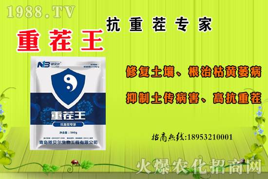 ɽ��ʲô����(ji��)���죿ɽ�����Ҫ�a(ch��n)������������ôʳ����