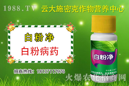 ʲô��ֲ��Դ�r(n��ng)ˎ��ֲ��Դ�r(n��ng)ˎ�c���W(xu��)�r(n��ng)ˎ�^(q��)�e������