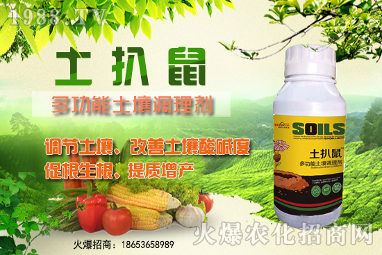 ������ʲô�r(sh��)��Nֲ����������ô�x���Nֲ�����ô�㣿