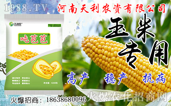 �N�˅������ג겻���X���Nֲǰ����Σ��˅����N����ô�N��