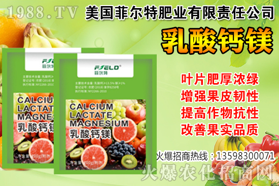 ���Ѳ��պ���α��r�����Ѳ��պ���@ע�������