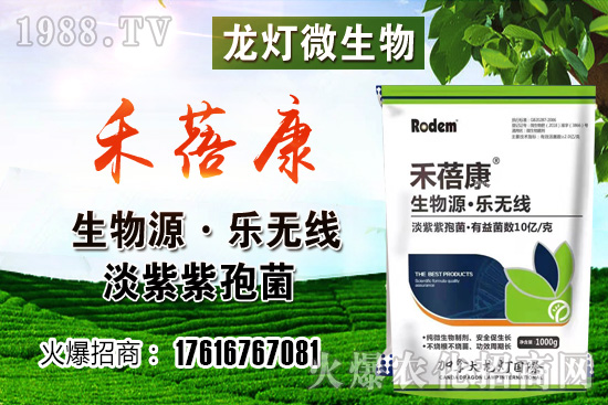 ���t���ڷ۷����������t��¶��ʹ���Nֲ�кβ�ͬ��