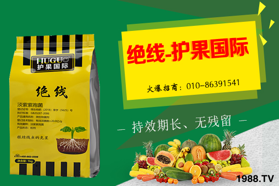 �Ә����L(zh��ng)�l������Щ���Ә�����������g(sh��)��