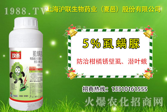 �����P��ʭ��ʲô�Y������ô���Σ������P��ʭ��ˎ���]