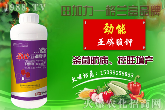 棉花如何做到合理施肥？棉花需肥特性及施肥原則！