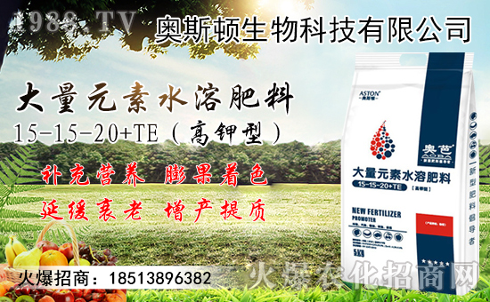 �����޽ӷ�������Щ�������޽ӳɻ�����������