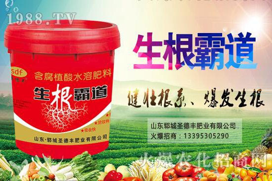 花椒樹(shù)種植季節(jié)是什么時(shí)候?花椒樹(shù)種植技巧有哪些?