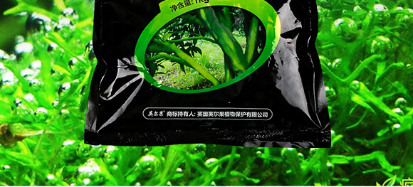 ����̦��(zhu��n)������-���-Ӣ����_03