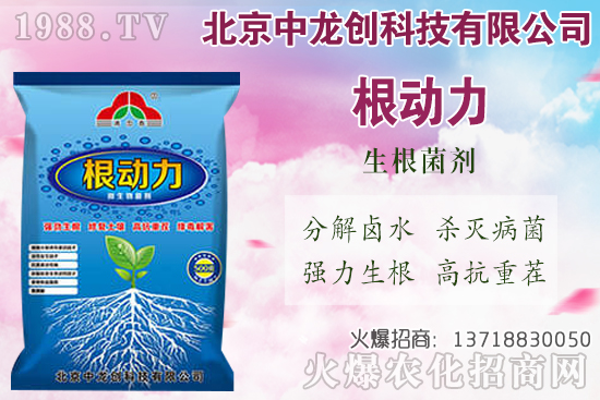 ���}���������������Щ�����}��ʩ�ʼ��g(sh��)Ҫ�c(di��n)��