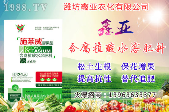 �Zʳ�q�r(ji��)��20209��17��С���r(ji��)�����������