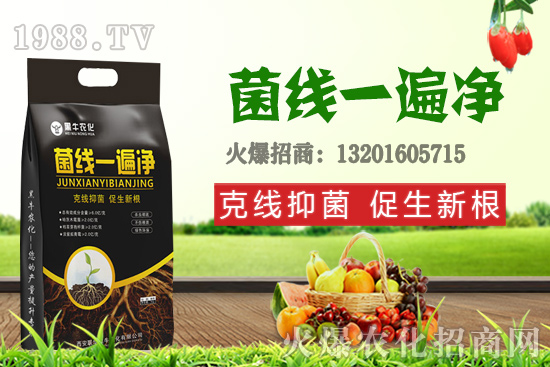 9��19��С���r��������q�����F(xi��n)��