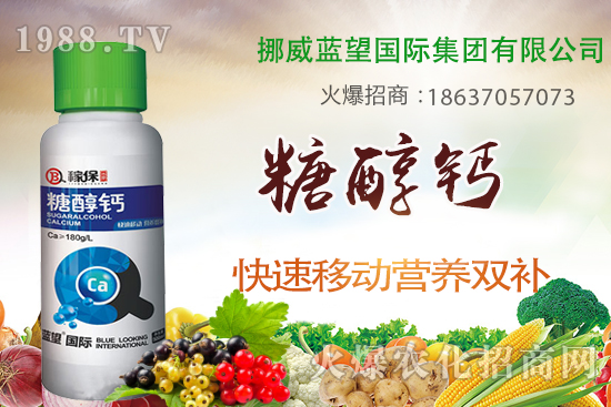 柑橘壯果肥如何施,柑橘壯果期施肥與管理!