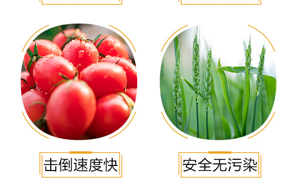 500ml�M�ڌ��Ú�������-�ߵ�-�����r_06